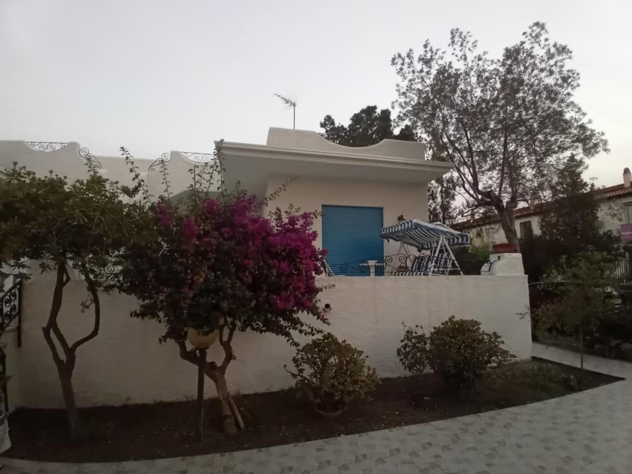 Villa Bouganville オリヴェーリ エクステリア 写真